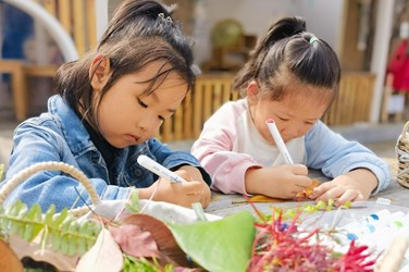花草涧掠影